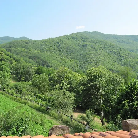 In Casoli Near Slopes