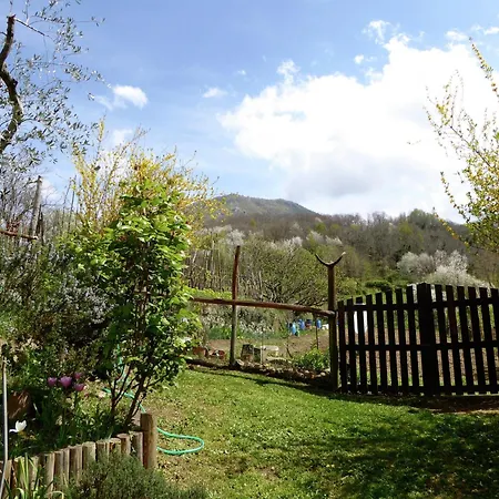 In Casoli Near Slopes Cocciglia